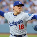 A Heartwarming Rivalry: When Baseball Fans Unite for a Cause